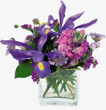 花草背景素材装饰图标