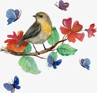 矢量迎春鸟免抠