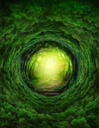 简约小清新梦幻森林广告高清