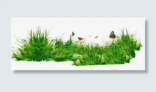 草丛与蝴蝶免抠