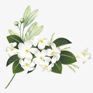 唯美鲜花素材免抠