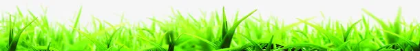春天郊外花朵草地清新免抠