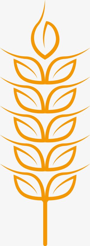 简易金色麦穗手绘图免抠