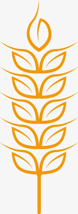 简易金色麦穗手绘图免抠