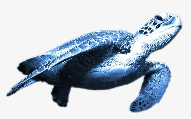 海底世界免抠