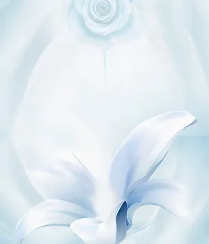 玫瑰茉莉花主图背景