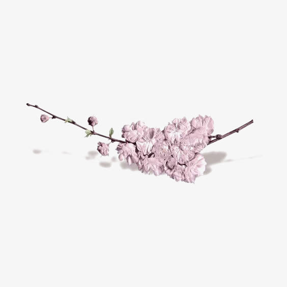 粉色花朵装饰免抠