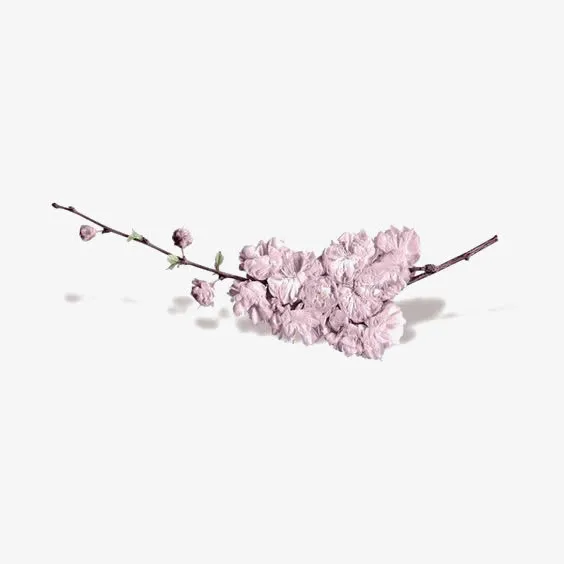 粉色花朵装饰免抠