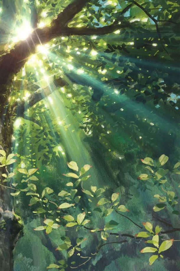 树叶间照射的阳光海报背景免抠背景卡通/手绘元素