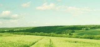 天空草地背景免抠