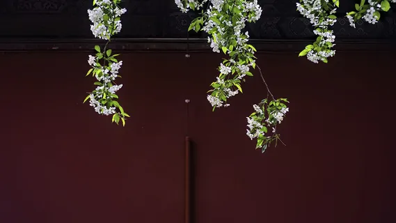 岱庙绿树红瓦高清 岱庙绿树红瓦高清