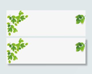 春天藤蔓绿叶装饰免抠