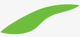 绿色树叶清新促销标签免抠