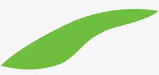 绿色树叶清新促销标签免抠