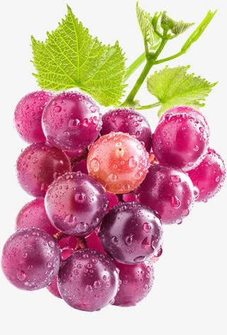 葡萄免抠
