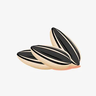 PS效果的瓜子免抠