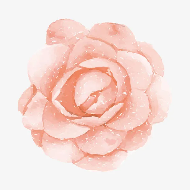 手绘花朵免抠
