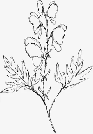 水墨花朵元素22免抠