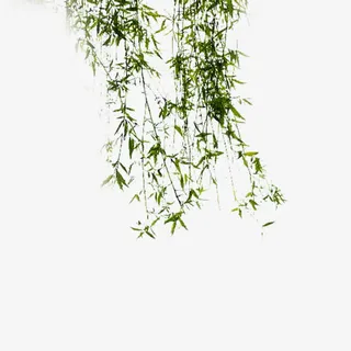 水墨绿色垂柳免抠