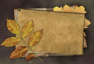 树叶与羊皮纸免抠