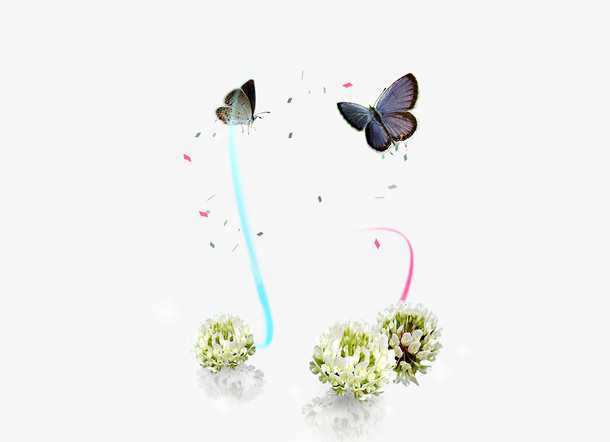 蝴蝶花png免抠