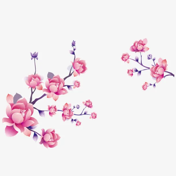 立绘素描梅花枝叶免抠