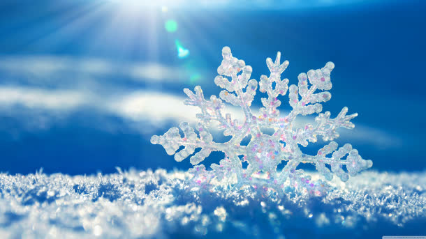 阳光照耀下的雪花冬天免抠