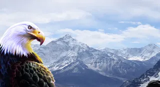 雪山雄鹰展翅免抠