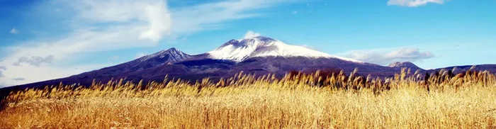 淘宝海报背景高清