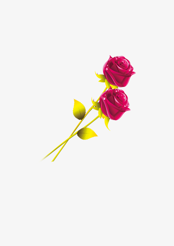 玫瑰花花枝花朵花瓣免抠
