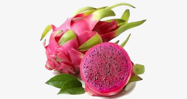 新鲜的火龙果素材免抠