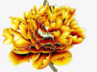 一朵盛开的牡丹花免抠