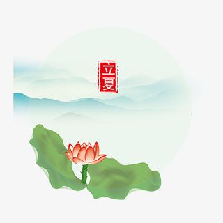 立夏荷花植物背景装饰