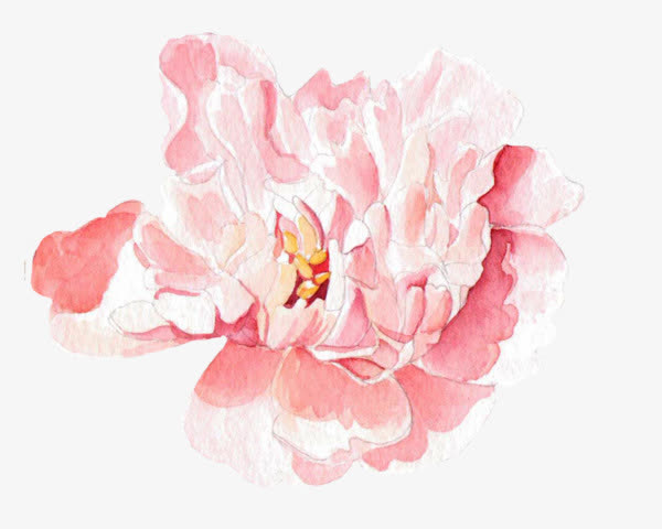 手绘粉色牡丹花免抠