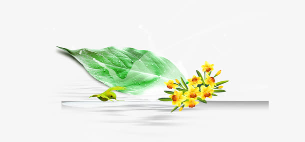 树叶免抠