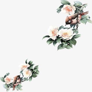 春意花鸟背景素材