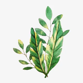 清新小花卡通插画6免抠手绘/卡通手绘元素