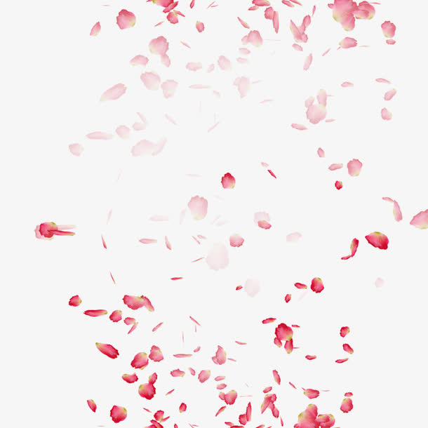 花瓣免抠