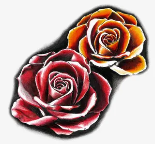 分别为红色和橙黄色的两朵玫瑰花免抠