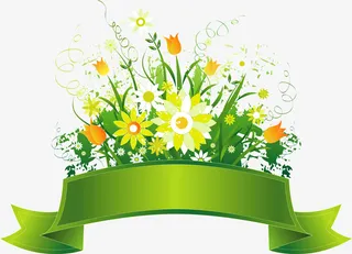 文案，花边，装饰，植物免抠