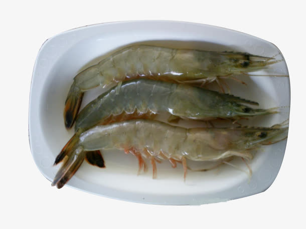 龙虾图片免抠
