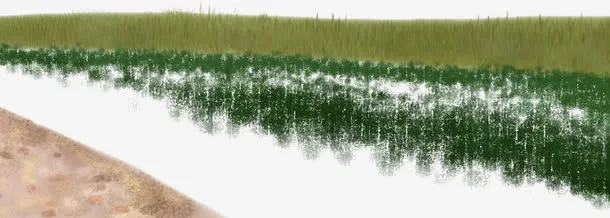 手绘秋天绿色草地免抠