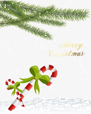 矢量圣诞树枝和带蝴蝶结的拐棍免抠