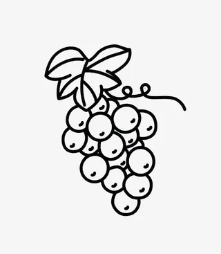 打卷可爱葡萄简笔画免抠