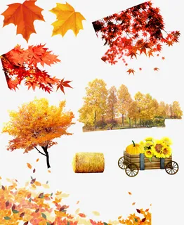 秋天枫叶 树林 草垛  png素材免抠