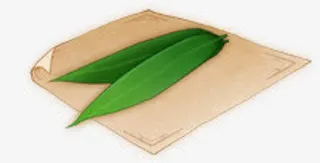 树叶空白纸张免抠