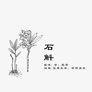 手绘石斛免抠
