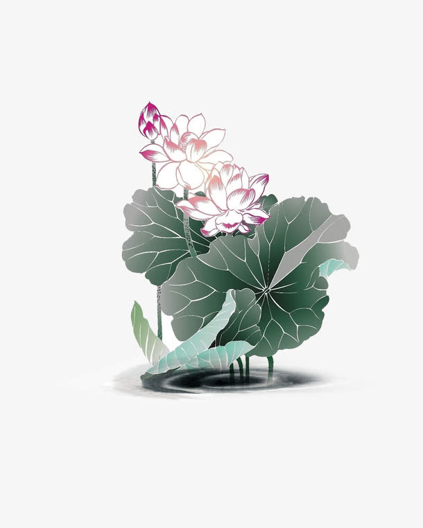 手绘荷花装饰图案免抠