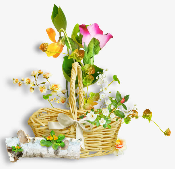 一篮鲜花免抠