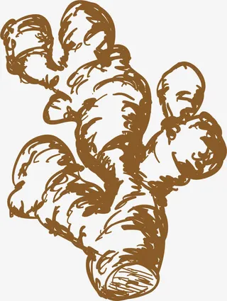 姜块调味的辛香料免抠